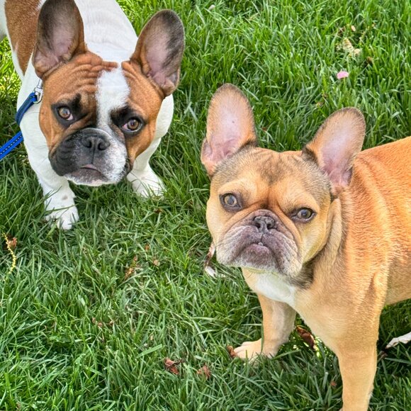 Meet your Posher, Angella - Picture 7 of 15